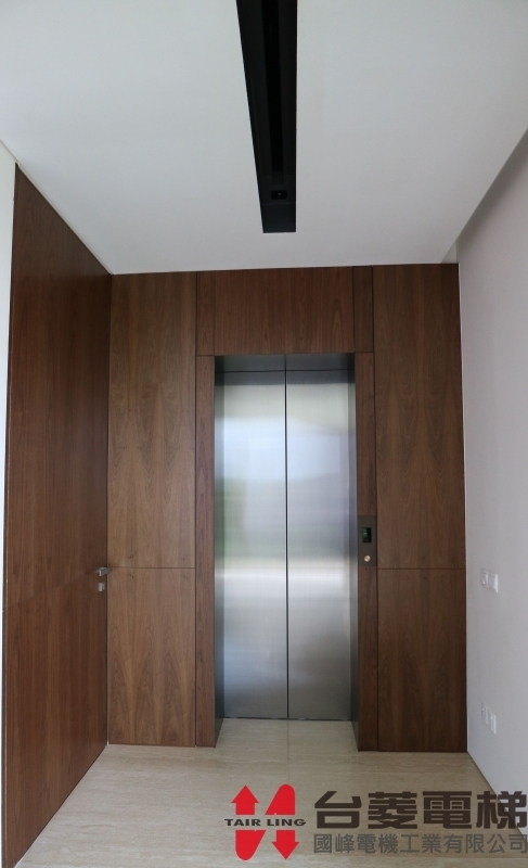 Customized Home Elevator